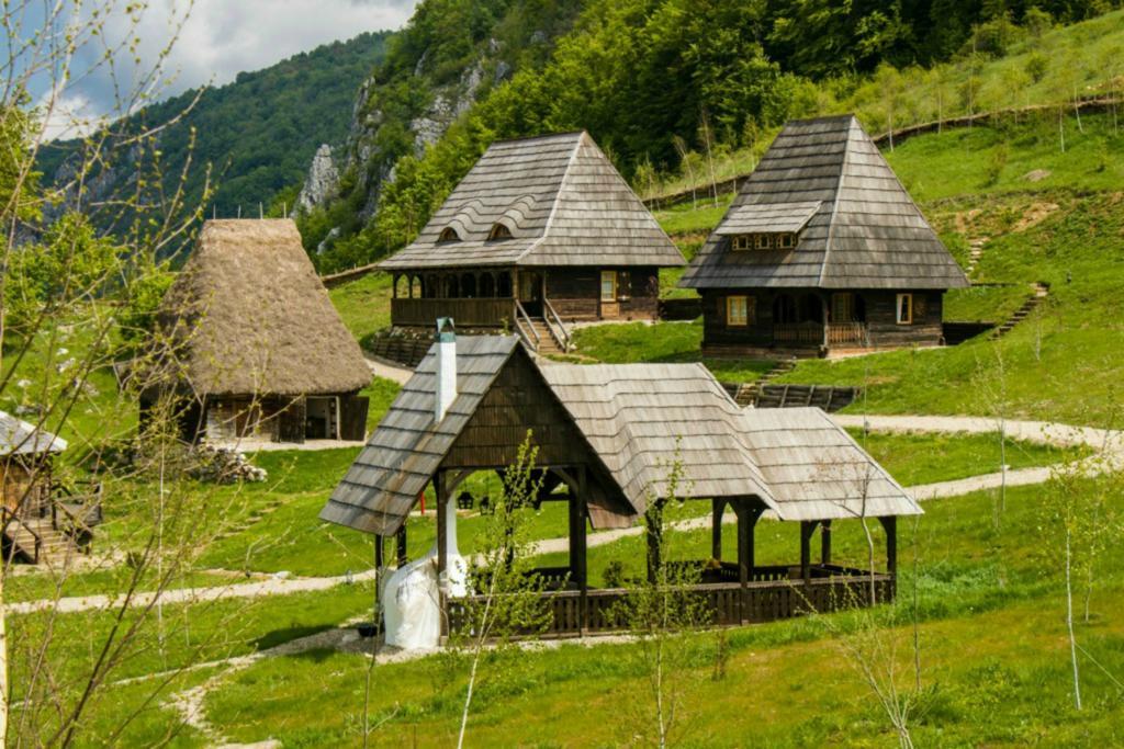 Sălciua de Jos Raven'S Nest酒店 外观 照片